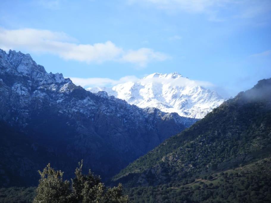 Le Capu Biancu-Location Avec Vue Proche Des Gorges De L Asco Entre Mer Et Montagne Moltifao Luaran gambar
